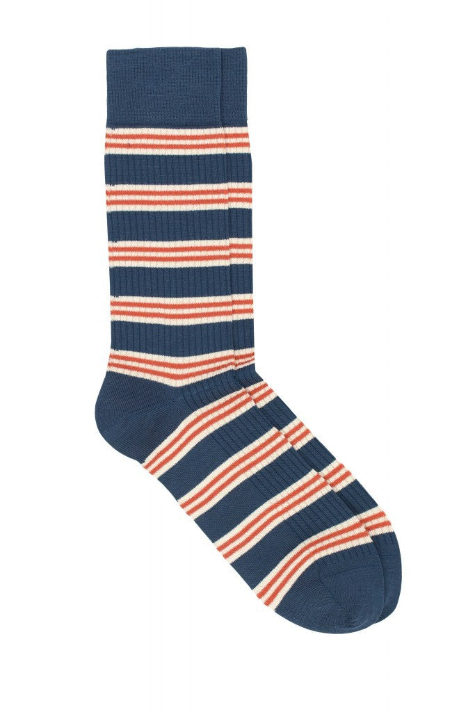 Pedemeia socks, multi-striped 