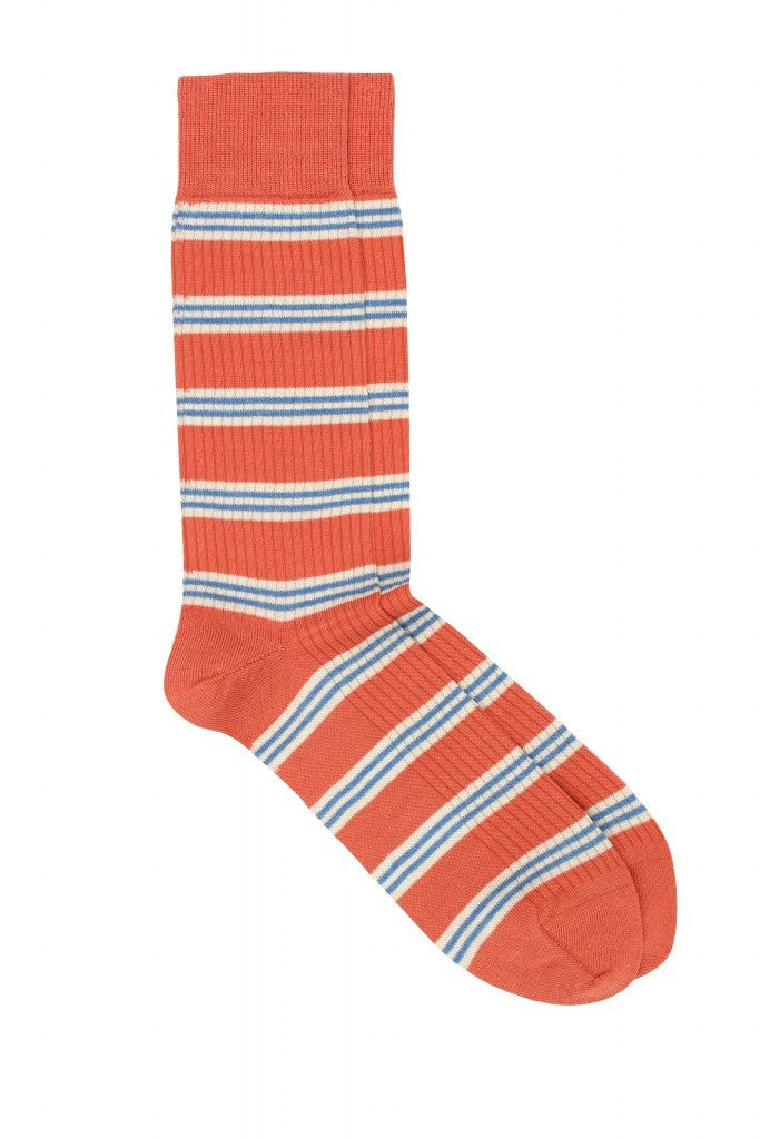 Pedemeia socks, multi-striped 