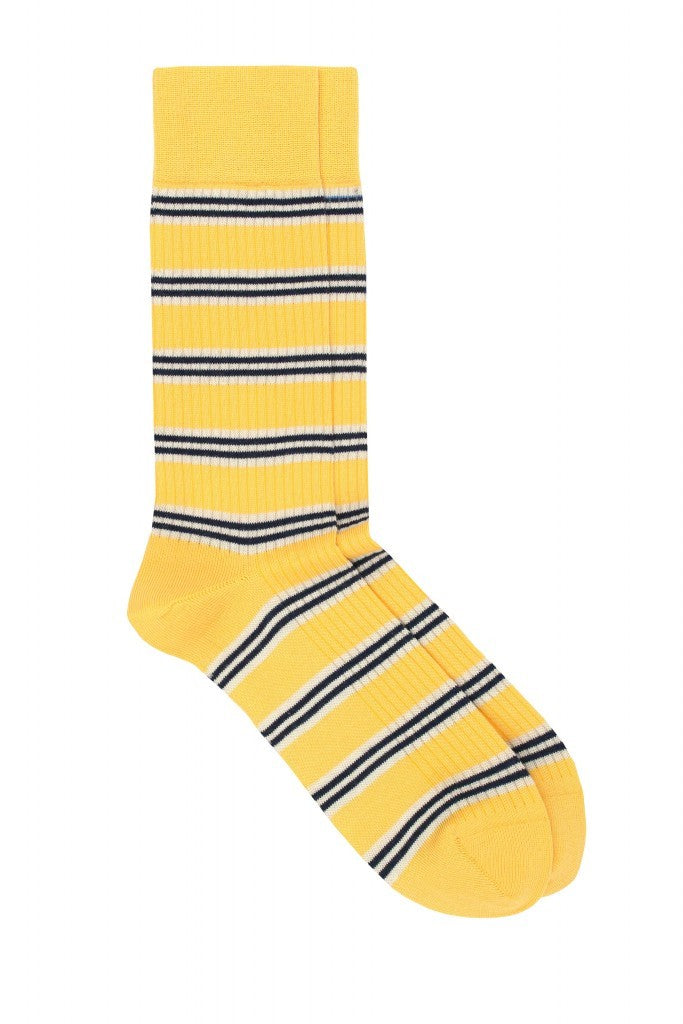 Pedemeia socks, multi-striped 